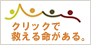 dff.jp NbN